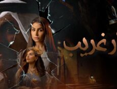 مسلسل دار غريب الحلقة 3 الثالثة