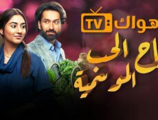 مسلسل رياح الحب الموسمية الحلقة 82 الثانية والثمانون مدبلجة