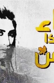 نساء من هذا الزمن