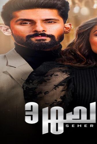 مسلسل الصهر الموسم 3 الحلقة 12 الثانية عشر مدبلجة