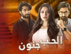مسلسل الحب جنون الحلقة 28 الثامنة والعشرون مدبلج
