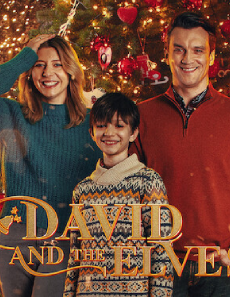 فيلم Dawid i Elfy 2021 مترجم