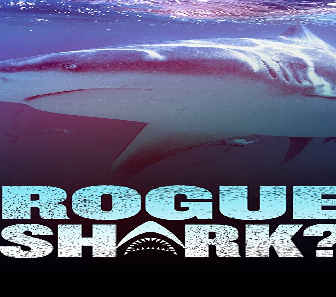 فيلم Rogue Shark 2021 مترجم