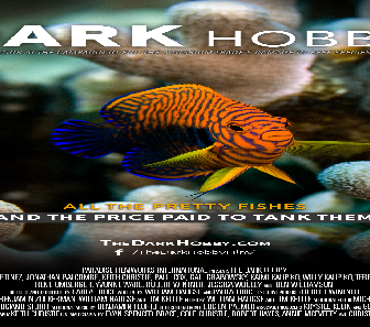 فيلم The Dark Hobby 2021 مترجم