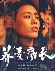 فيلم Wild Grass 2020 مترجم