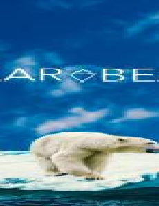 فيلم Polar Bears 2020 مترجم