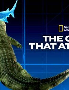 فيلم Croc That Ate Jaws 2021 مترجم