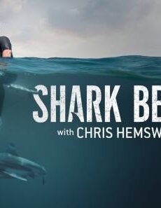 فيلم Shark Beach with Chris Hemsworth 2021 مترجم