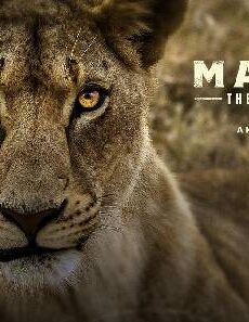 فيلم Malika the Lion Queen 2021 مترجم