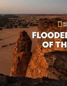 فيلم Flooded Tombs of the Nile 2021 مترجم