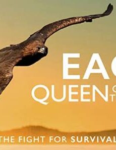 فيلم Eagle Queen of the Skies 2014 مترجم