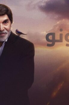 السنونو