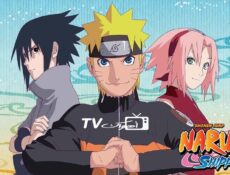 انمي ناروتو شيبودن Naruto: Shippuden الحلقة 248 مترجمة