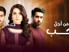 مسلسل من أجل الحب الحلقة 12 مدبلجة