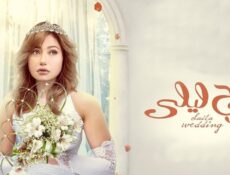 مسلسل فرح ليلى الحلقة 17 السابعة عشر