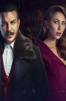 الكاتب