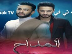 مسلسل المداح الحلقة 28 الثامنة والعشرون