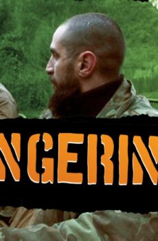 فيلم Tangerines 2013 مترجم