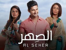 مسلسل الصهر الحلقة 48 الثامنة والاربعون مدبلجة