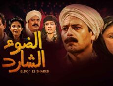 مسلسل الضوء الشارد الحلقة 17 السابعة عشر