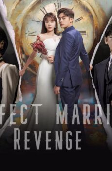 Perfect Marriage Revenge