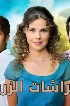 الفراشات الزرقاء