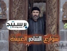 مسلسل شوارع الشام العتيقة الحلقة 9