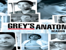 مسلسل Grey’s Anatomy الموسم 2 الحلقة 15 مترجمة كاملة
