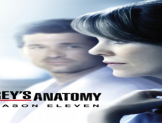 مسلسل Grey’s Anatomy الموسم 11 الحلقة 2 مترجمة كاملة