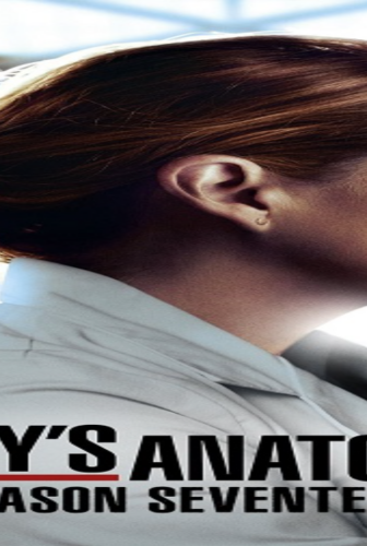 مسلسل Grey’s Anatomy الموسم 17 الحلقة 16 مترجمة كاملة