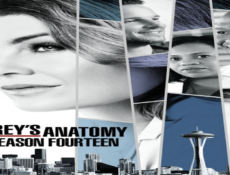 مسلسل Grey’s Anatomy الموسم 14 الحلقة 9 مترجمة كاملة