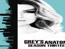 مسلسل Grey’s Anatomy الموسم 13 الحلقة 9 مترجمة كاملة