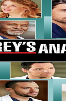 مسلسل Grey’s Anatomy الموسم 9 الحلقة 16 مترجمة كاملة