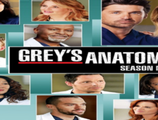 مسلسل Grey’s Anatomy الموسم 9 الحلقة 15 مترجمة كاملة