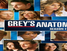 مسلسل Grey’s Anatomy الموسم 8 الحلقة 16 مترجمة كاملة