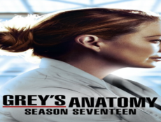 مسلسل Grey’s Anatomy الموسم 17 الحلقة 16 مترجمة كاملة