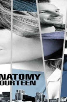 مسلسل Grey’s Anatomy الموسم 14 الحلقة 20 مترجمة كاملة