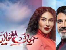 مسلسل حياتي المثالية الحلقة 21 الحادية والعشرون