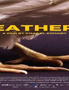 فيلم Feathers 2021 مترجم