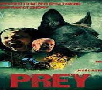 فيلم Cordes 2019 مترجم