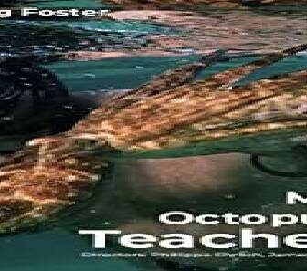 فيلم My Octopus Teacher 2020 مترجم
