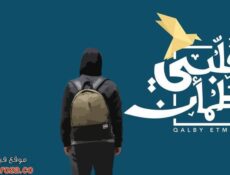 برنامج قلبي اطمان الموسم 3 الحلقة 4 الرابعة