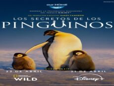 مسلسل Secrets of the Penguins الحلقة 3 مترجمة والاخيرة
