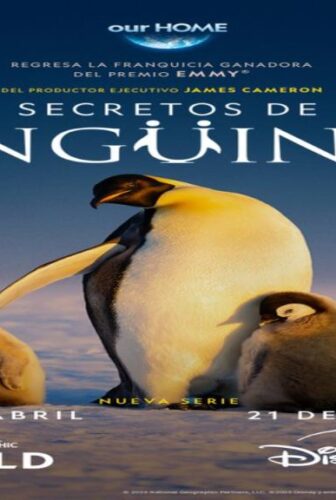 مسلسل Secrets of the Penguins الحلقة 3 مترجمة والاخيرة
