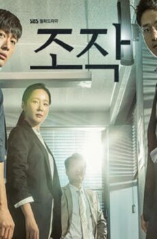Falsify