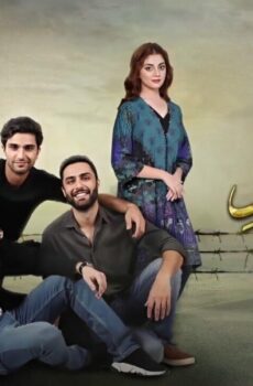 عهد الصداقة