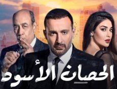 مسلسل الحصان الأسود الحلقة 22 الثانية والعشرون