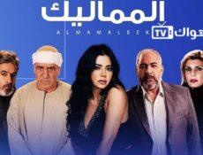 مسلسل المماليك الحلقة 6 السادسة