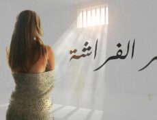 مسلسل أثر الفراشة الحلقة 29 التاسعة والعشرون