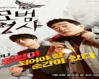 Exemplary Detective